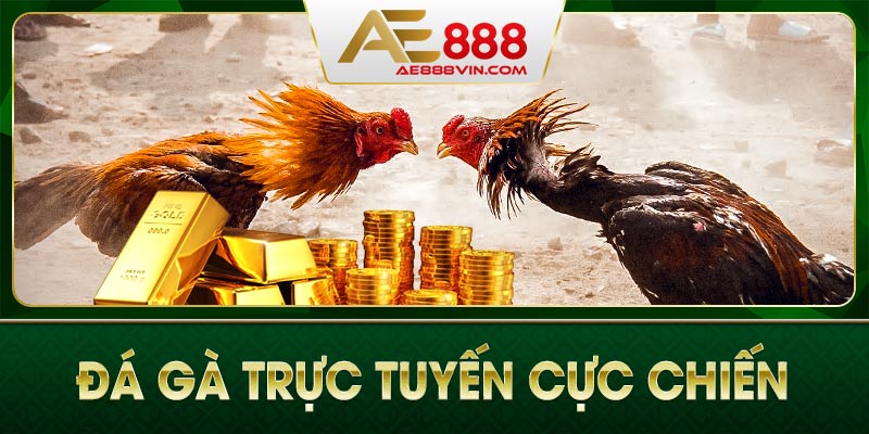 Đá gà Thomo cực chiến cùng sảnh chơi đời đầu AE 888