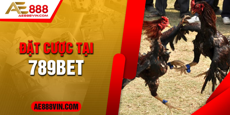 Tham gia đặt cược cho các trận chiến thần kê tại 789BET